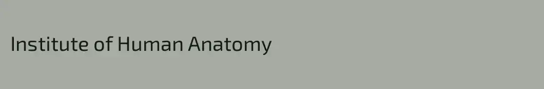 Institute of Human Anatomy
